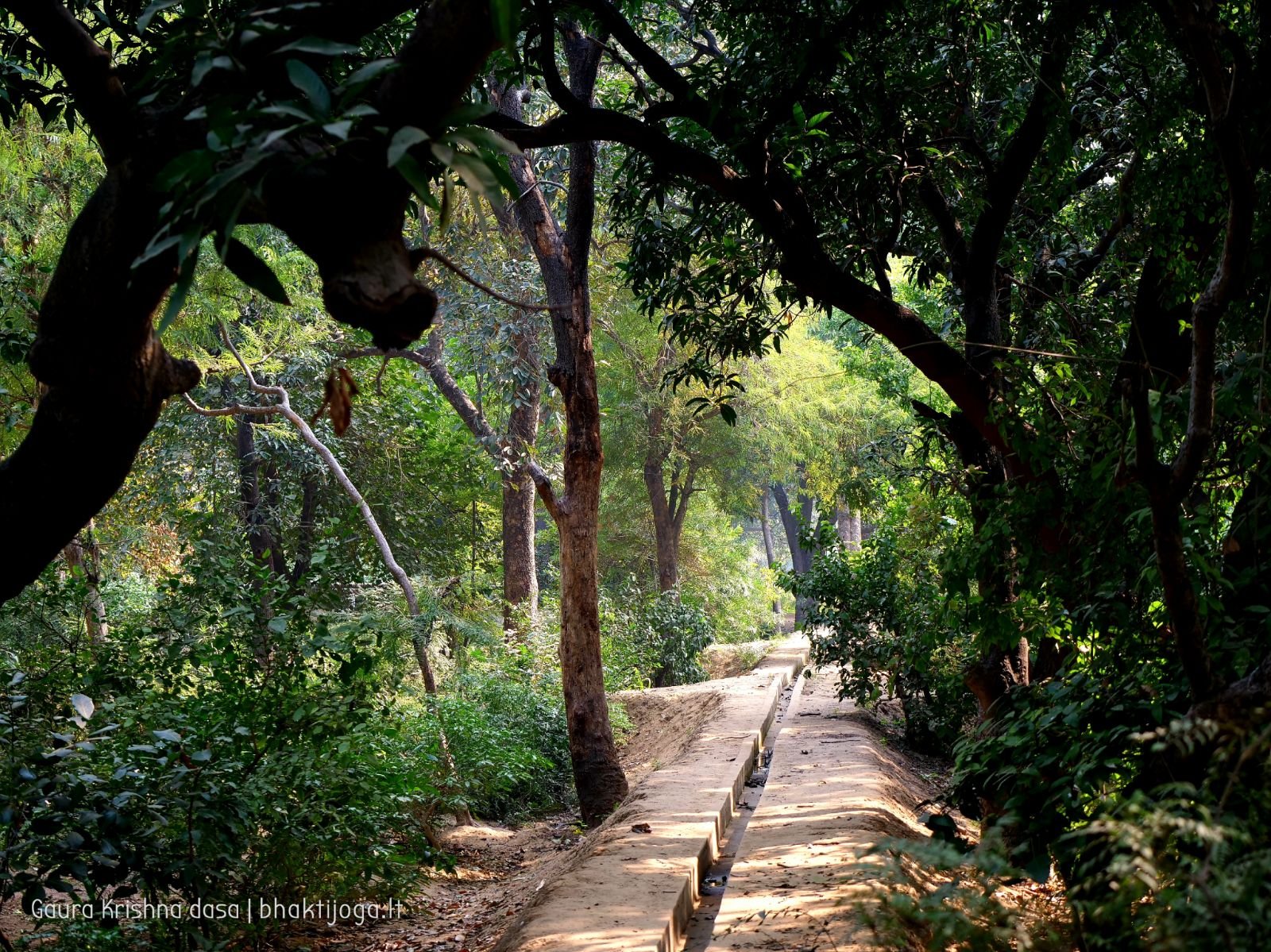  Varshana parikrama and preaching. 2019.12.10